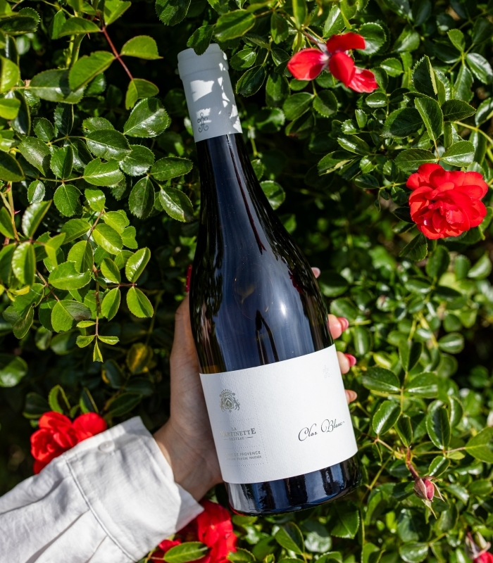 wines